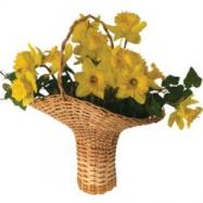 DaffodilsinKansasFlowerBasket.jpg