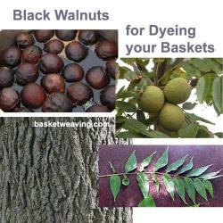 black-walnut-basket-dye.jpg