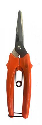 2025-reed-cutter-FINAL
