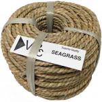 seagrass2020-no-sizee